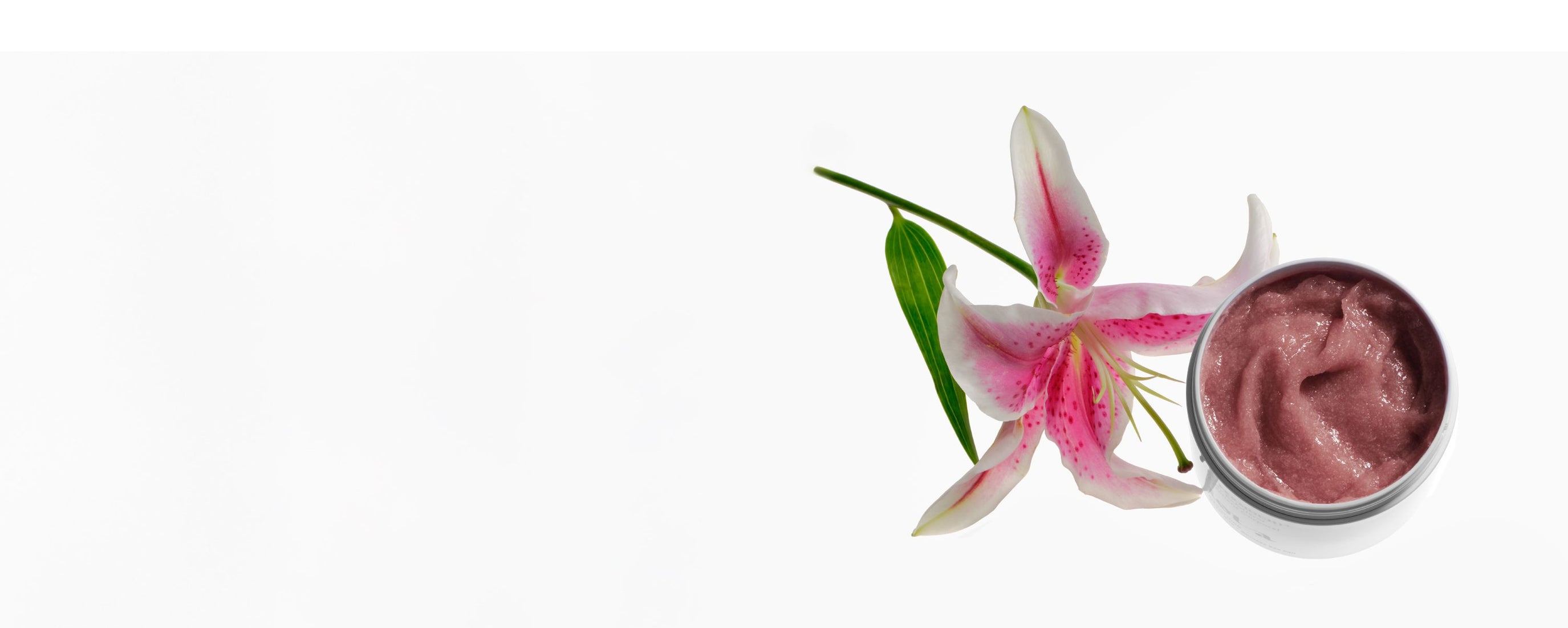 why we ask, and who we are.