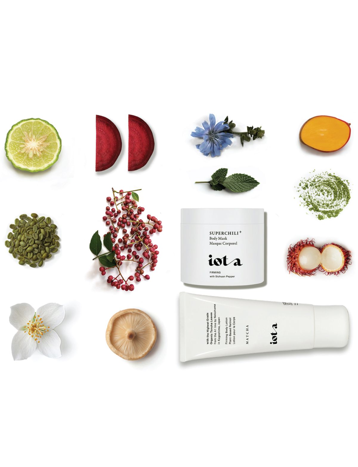 The Sculpting Set