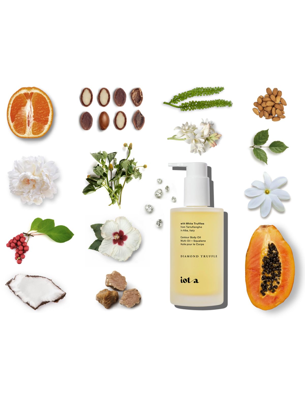 The Body Oil with natural elements like fruits, flowers, and leaves on a white background
