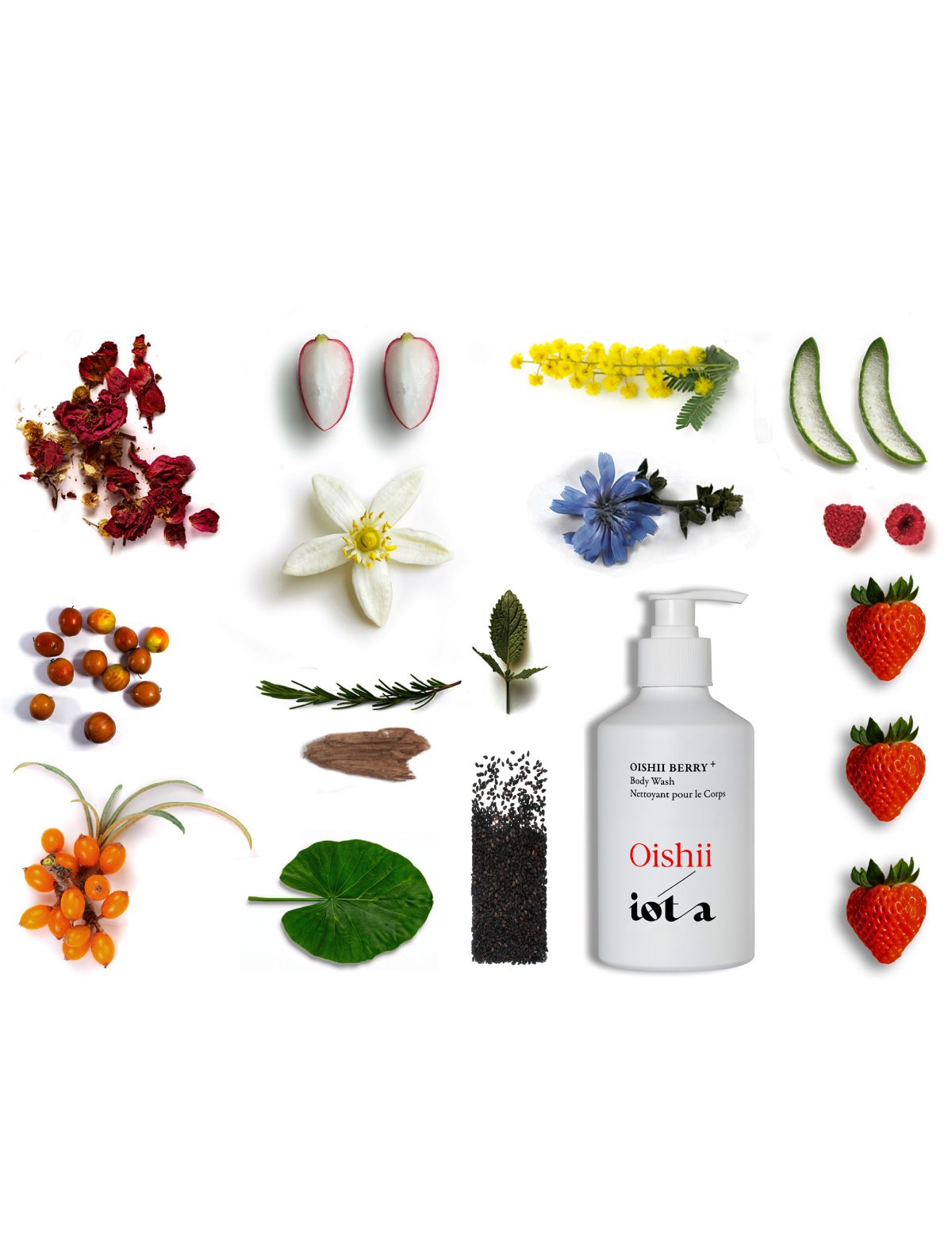 The Ingredients in The Oishii Berry Body Wash