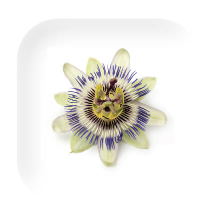 passionflower.