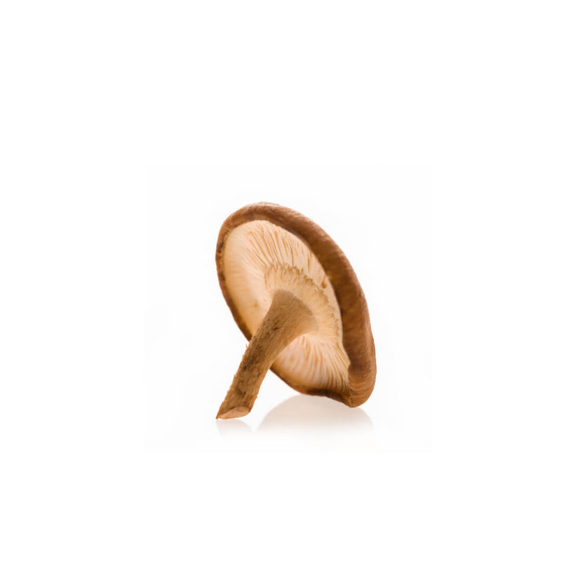 Can the Okinawa Diet Really Help You Live Longer?