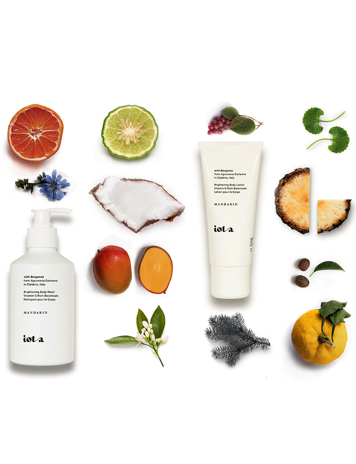 The Brightening Mandarin Set