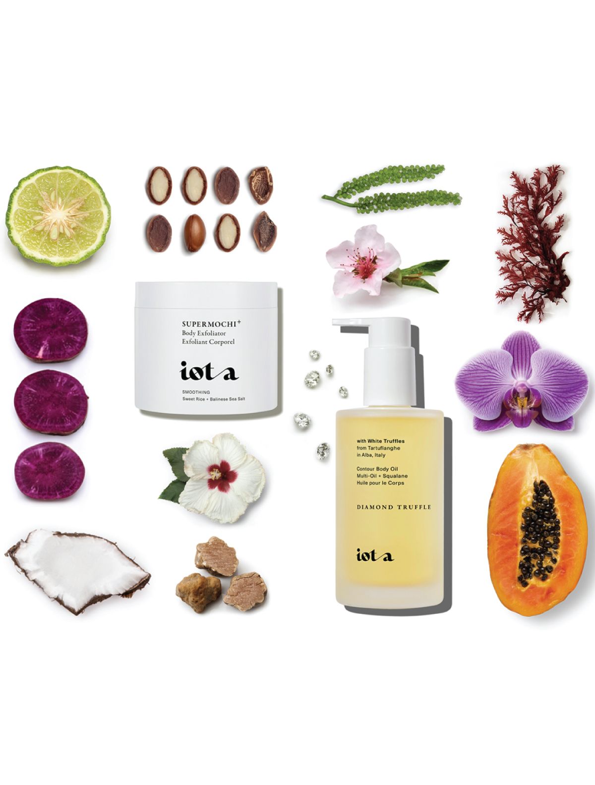 The Body Oil with natural elements like fruits, flowers, and leaves on a white background